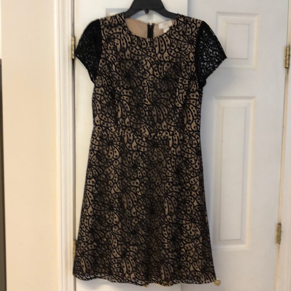 Ann Taylor Loft Black Lace beige lining fit /flare